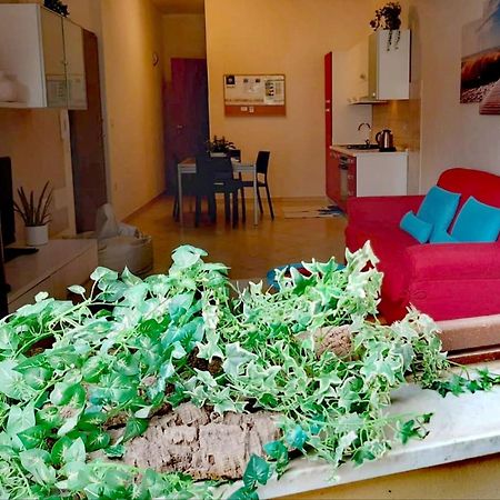 Brisa Marina Apartment Альгеро Экстерьер фото